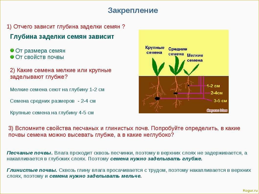 Известкование почвы на грядках и в саду: цели и методы