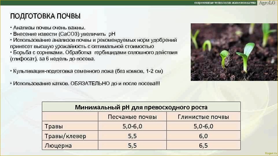 Известкование почвы на грядках и в саду: цели и методы