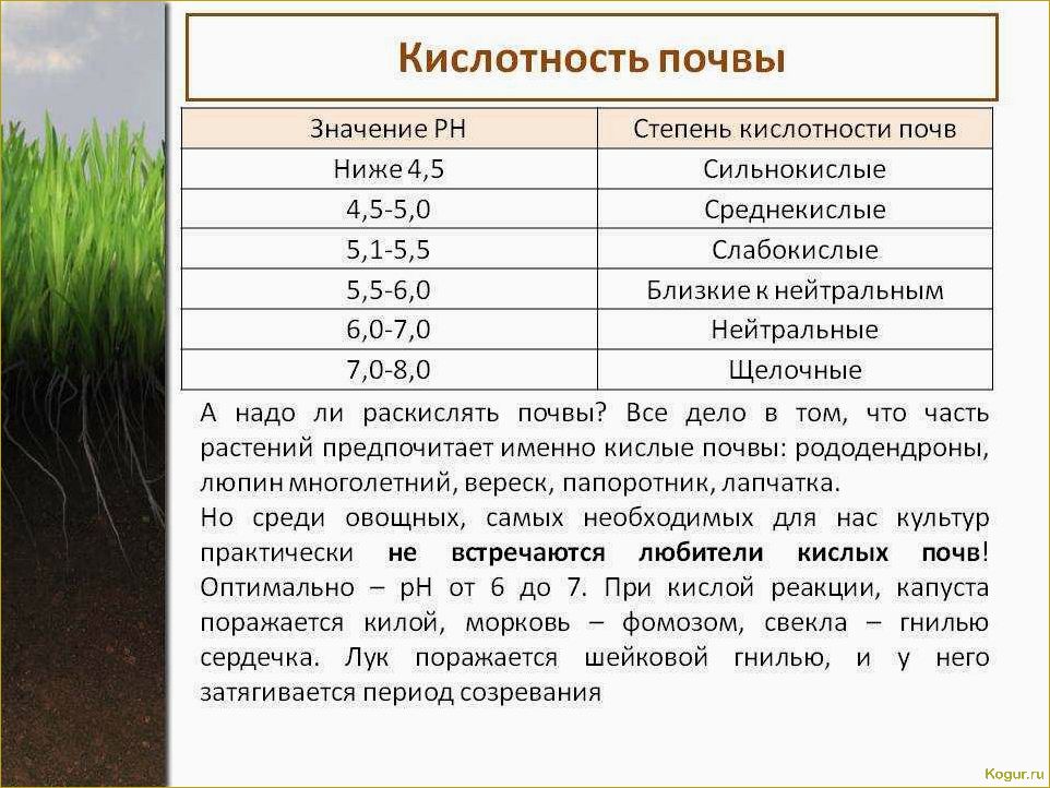 Известкование почвы на грядках и в саду: цели и методы