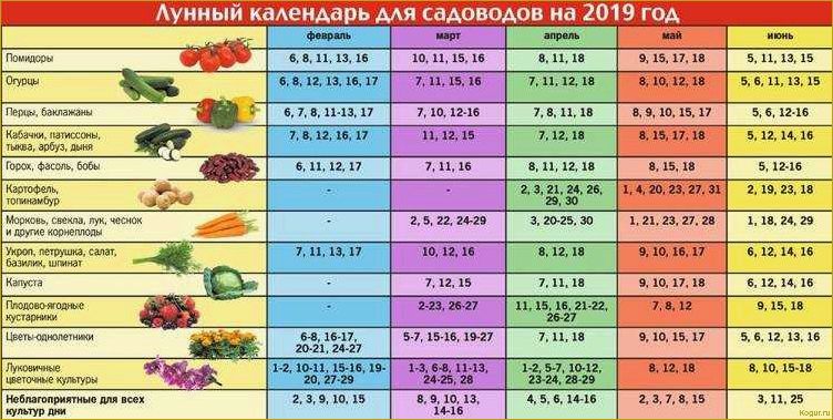 Какие семена огурцов самые лучшие для открытого грунта: секреты успешного огородничества