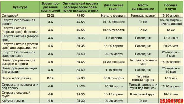 Какие семена огурцов самые лучшие для открытого грунта: секреты успешного огородничества