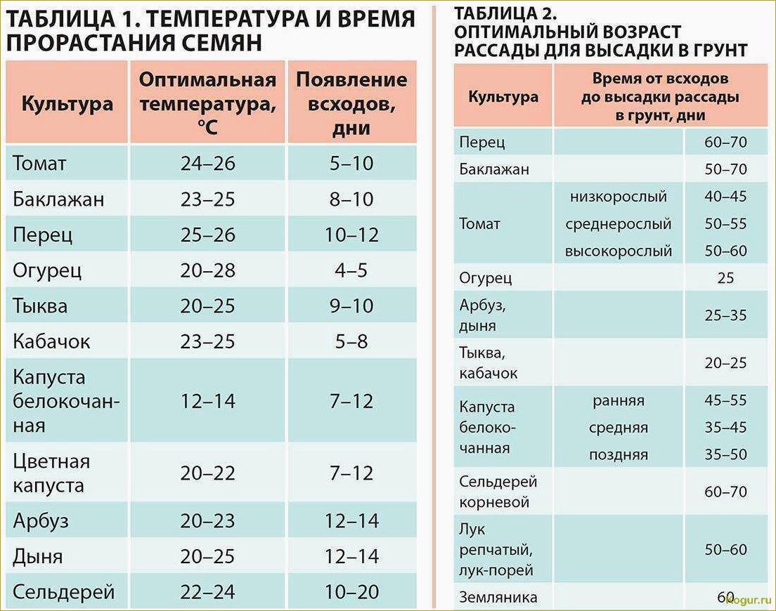 Когда садить перец на рассаду?