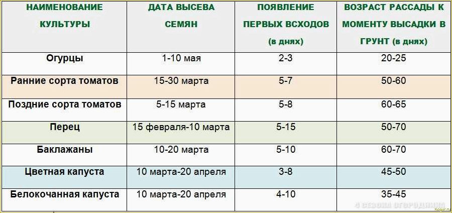 Когда садить перец на рассаду?