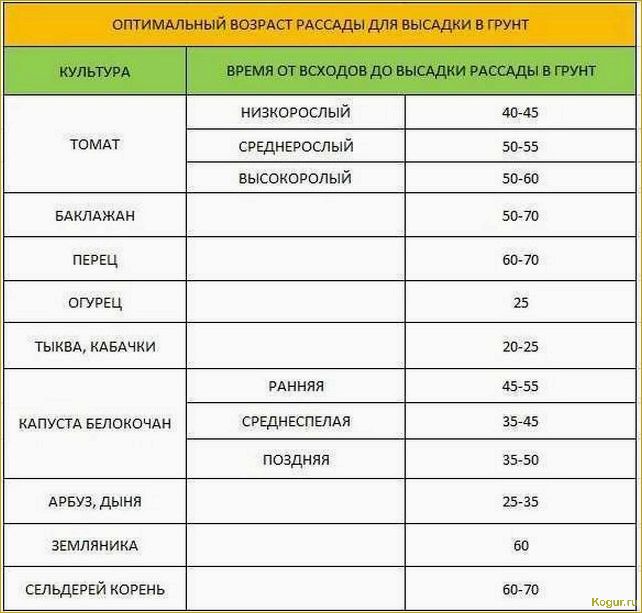 Когда садить перец на рассаду?