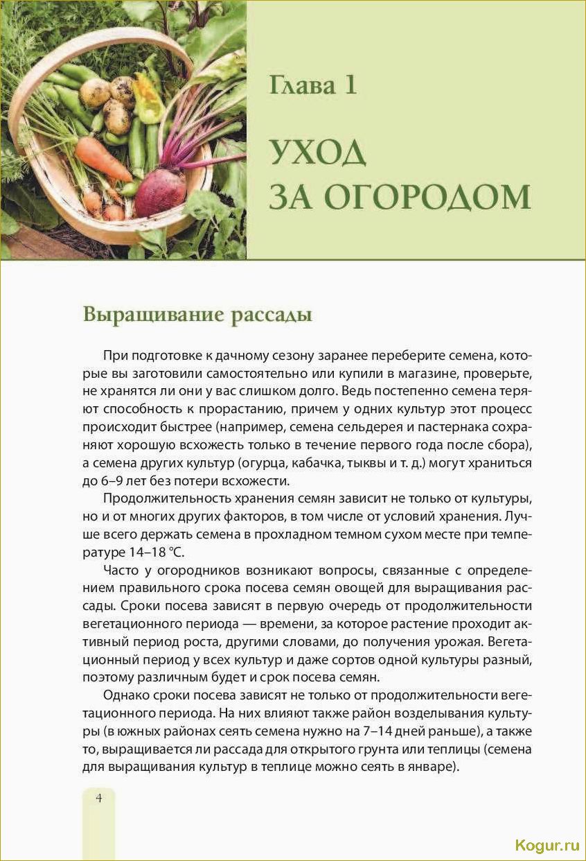 Введение в мир пастернака: все, что нужно знать о сортах и выращивании этого овоща