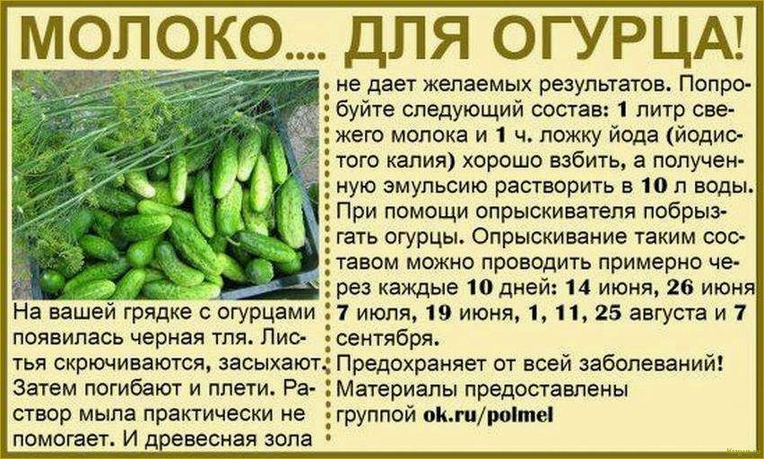 Введение в мир пастернака: все, что нужно знать о сортах и выращивании этого овоща