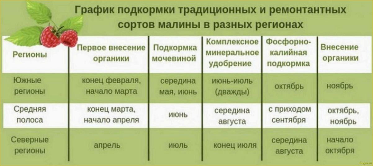 Осенняя подкормка растений: какие удобрения выбрать и как правильно их применять