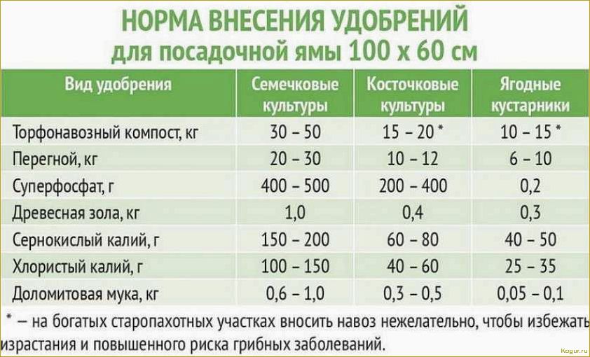 Осенняя подкормка растений: какие удобрения выбрать и как правильно их применять