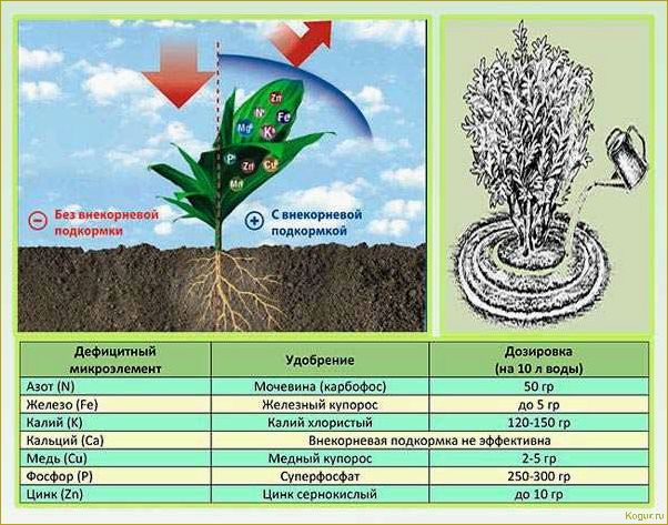 Какие микроэлементы нужны растениям