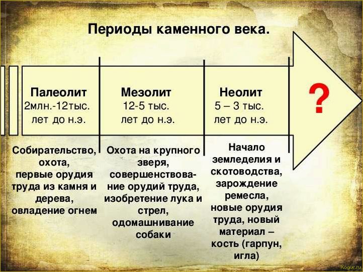 Горох: от каменного века до современности