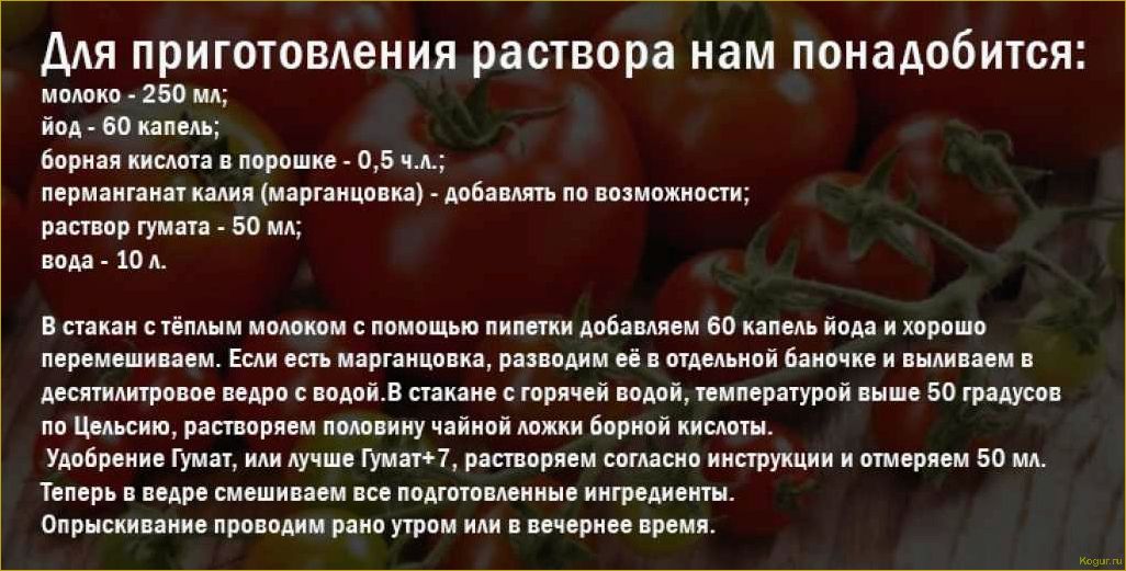 Как достичь рекордного урожая томатов сорта Президент: секреты и советы