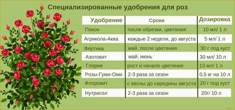 Как достичь роскошного цветения розы Глория Дей: секреты ухода и советы