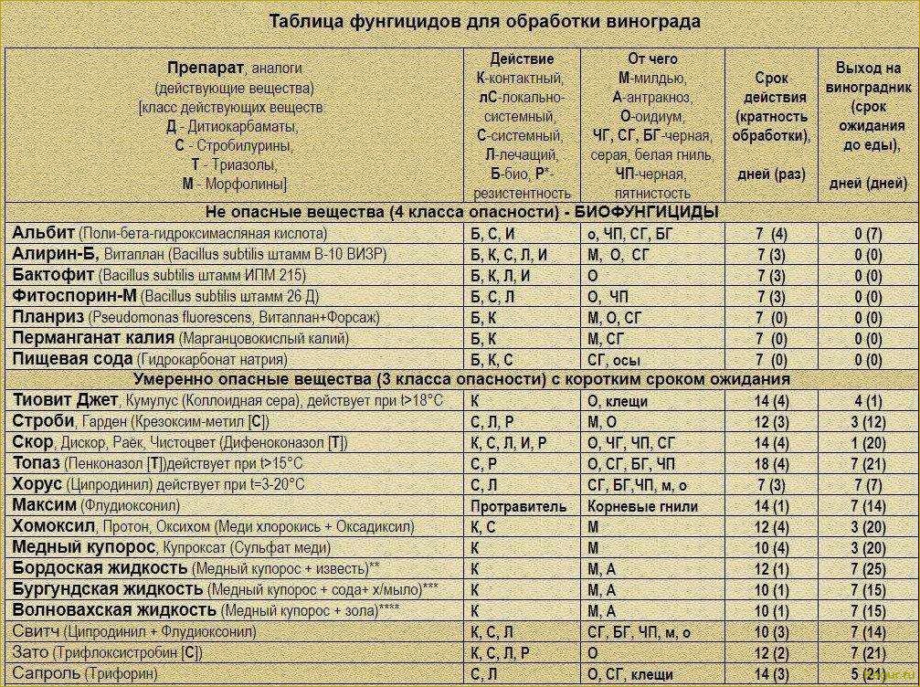 Фунгицид Делан: незаменимый помощник для садовода в борьбе с грибковыми заболеваниями