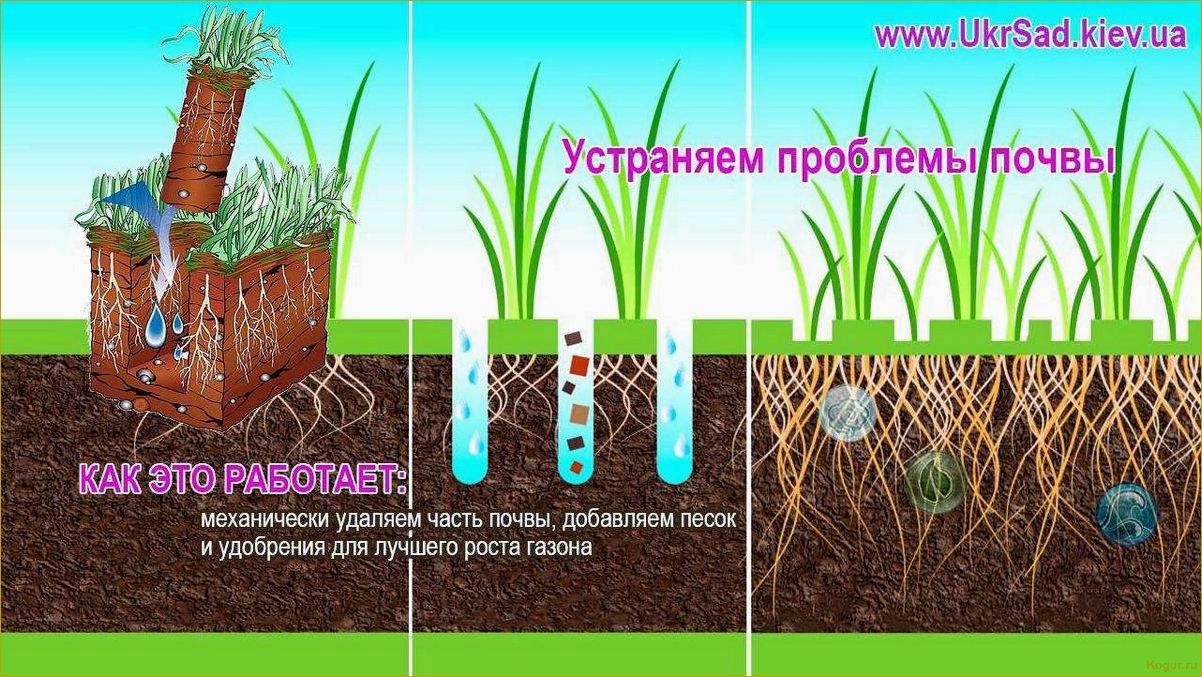 Разница между аэратором и скарификатором почвы: сравнение и особенности