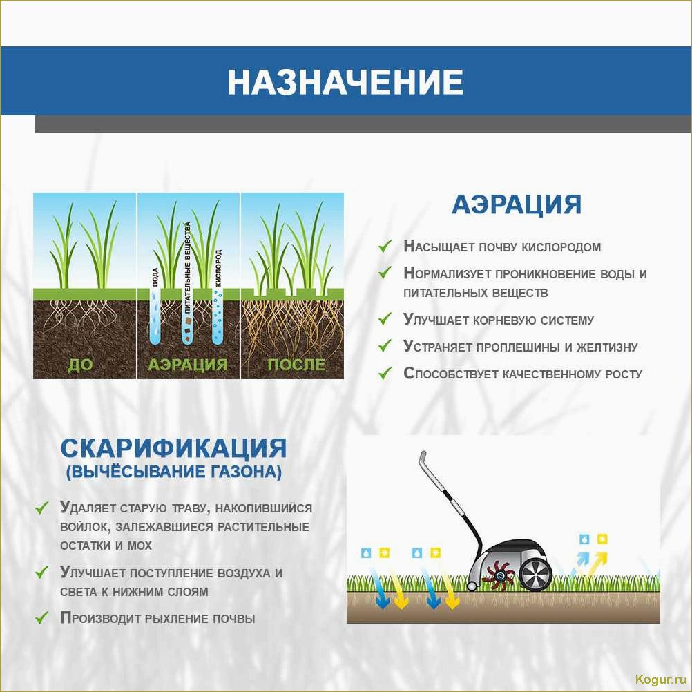 Разница между аэратором и скарификатором почвы: сравнение и особенности