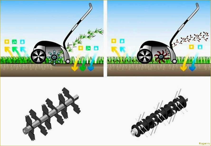 Разница между аэратором и скарификатором почвы: сравнение и особенности