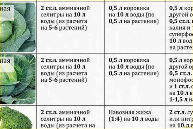 Лучшие сорта капусты брокколи для дачных грядок