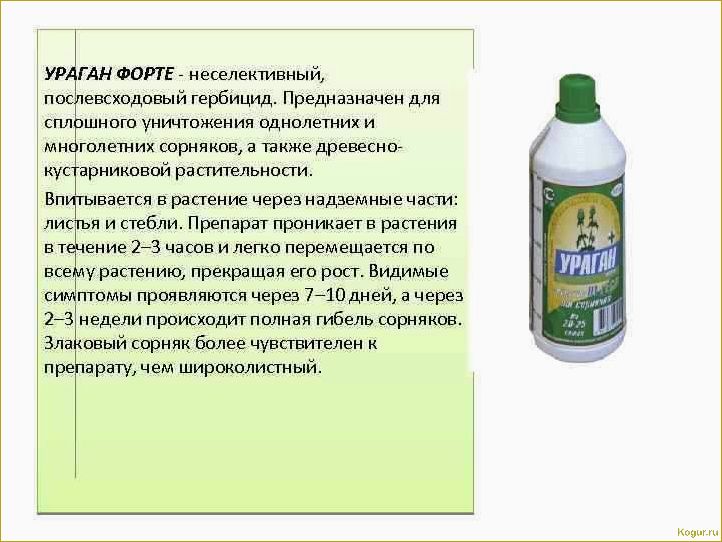 Как избавиться от молочая на огороде с помощью гербицидов и народных средств