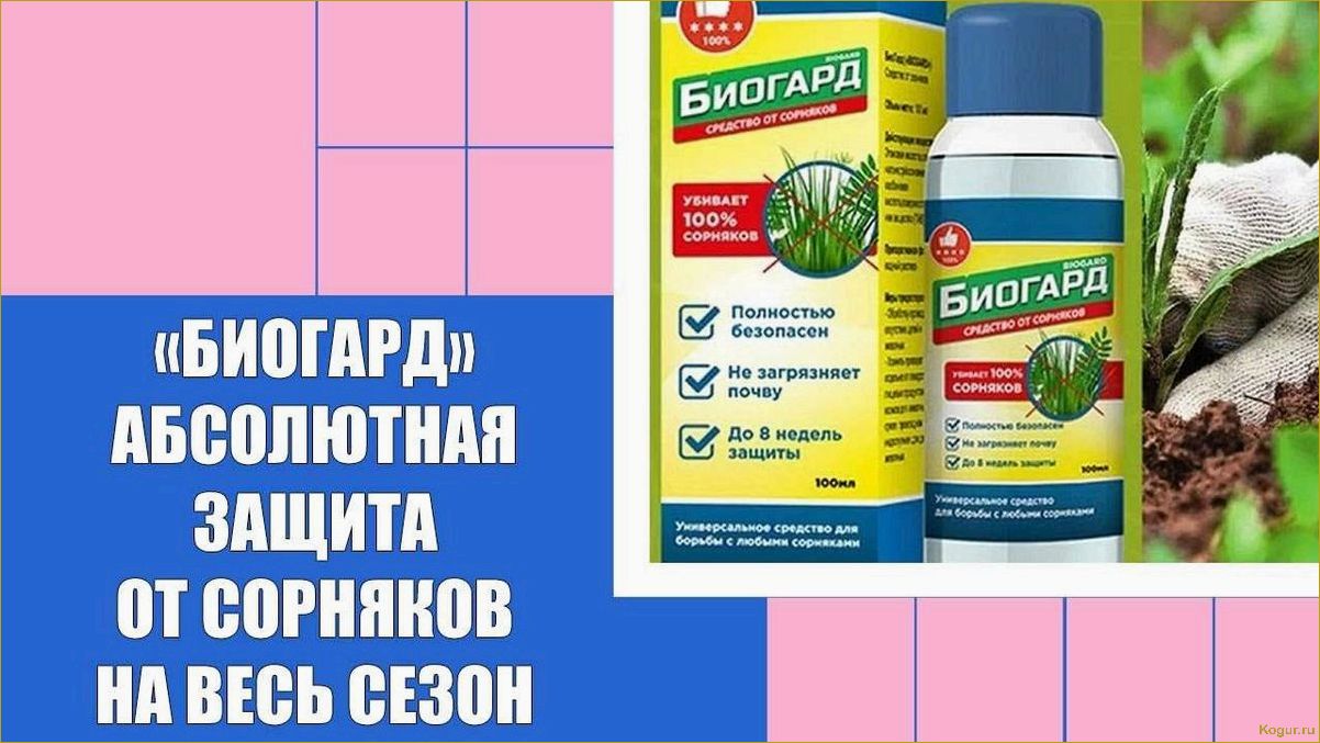 Как избавиться от молочая на огороде с помощью гербицидов и народных средств