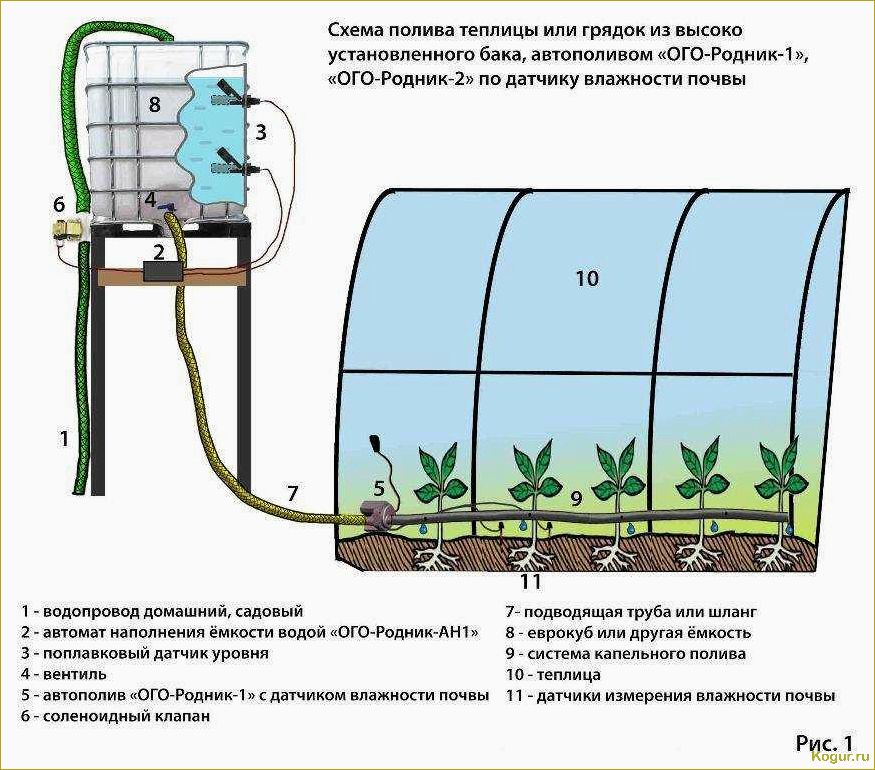 Инструкция по созданию и установке системы капельного полива в теплице