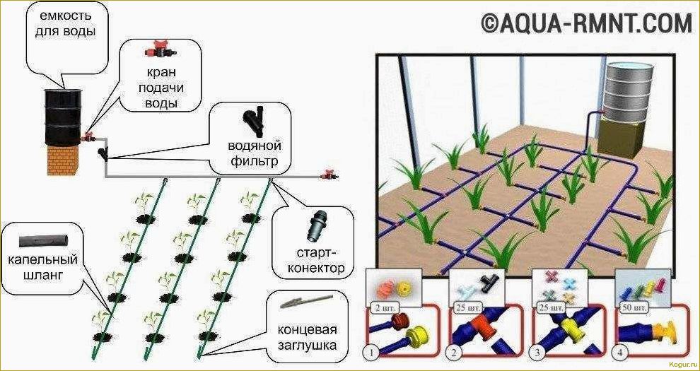 Инструкция по созданию и установке системы капельного полива в теплице