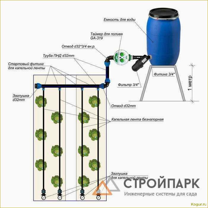 Инструкция по созданию и установке системы капельного полива в теплице