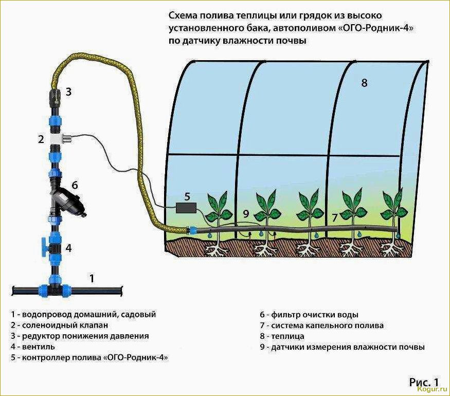 Инструкция по созданию и установке системы капельного полива в теплице