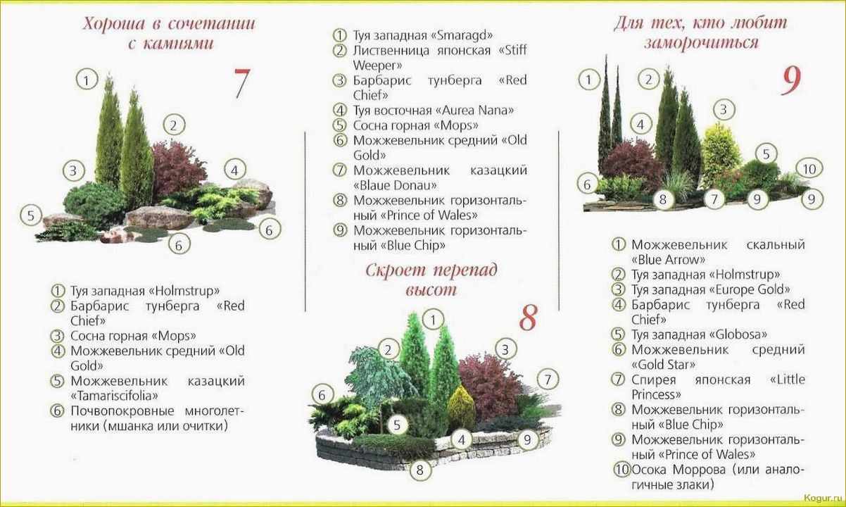 Миксбордер из хвойных и кустарников идеальный вариант для загородного дома