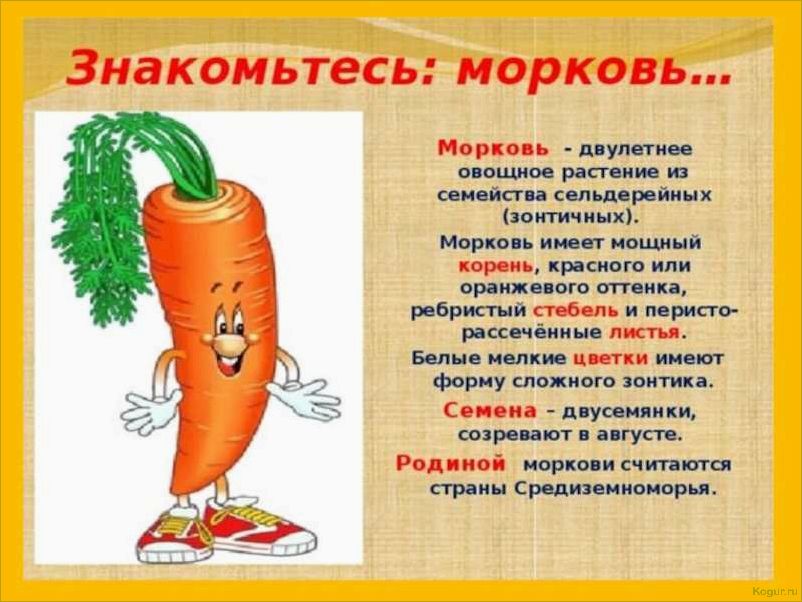 Многоцветная история моркови