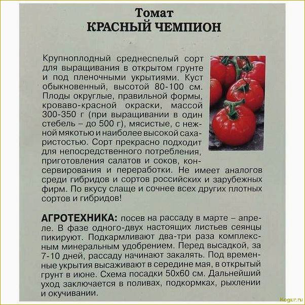 Лучшие сорта помидор для Урала с фотографиями