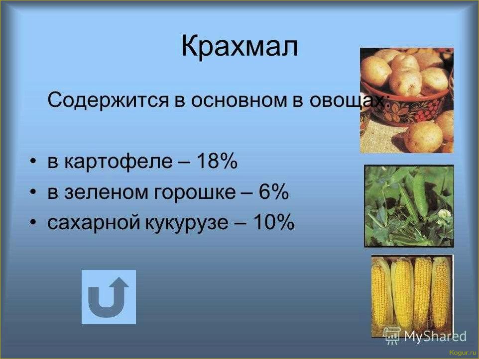 Польза и вред картофеля, его сока, крахмала, отвара, ростков