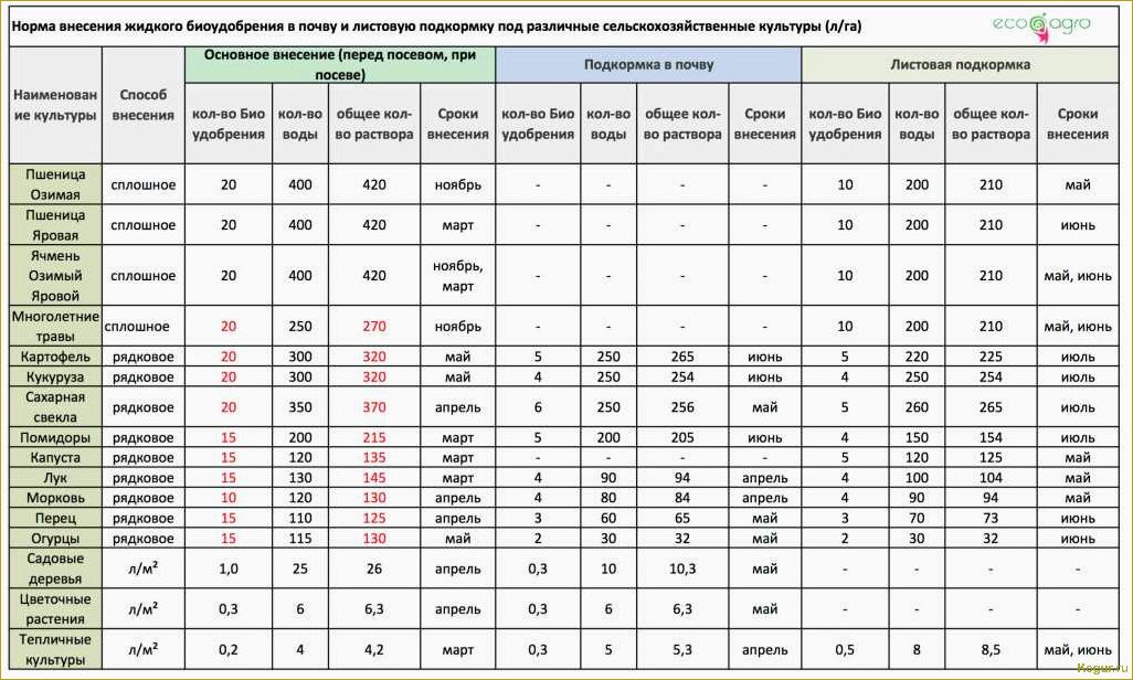 Помидор Рио Гранде — секреты получения щедрого урожая