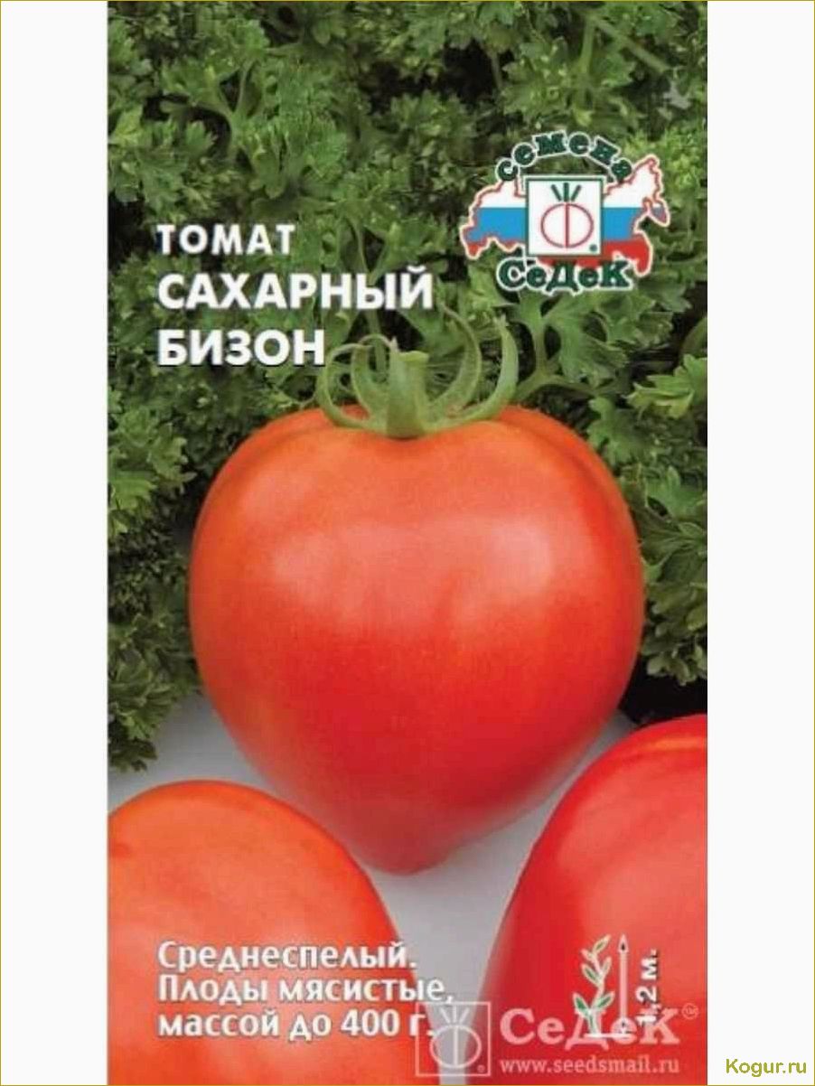 Помидоры Сахарный бизон заслужили любовь огородников