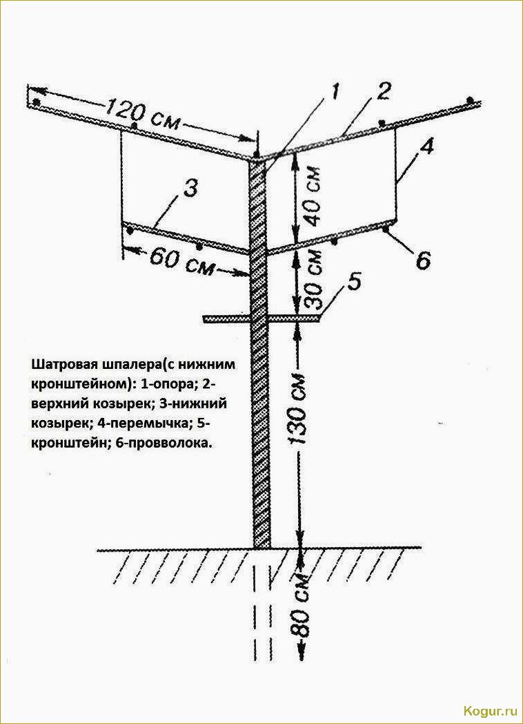 Как сделать шпалеры для винограда своими руками