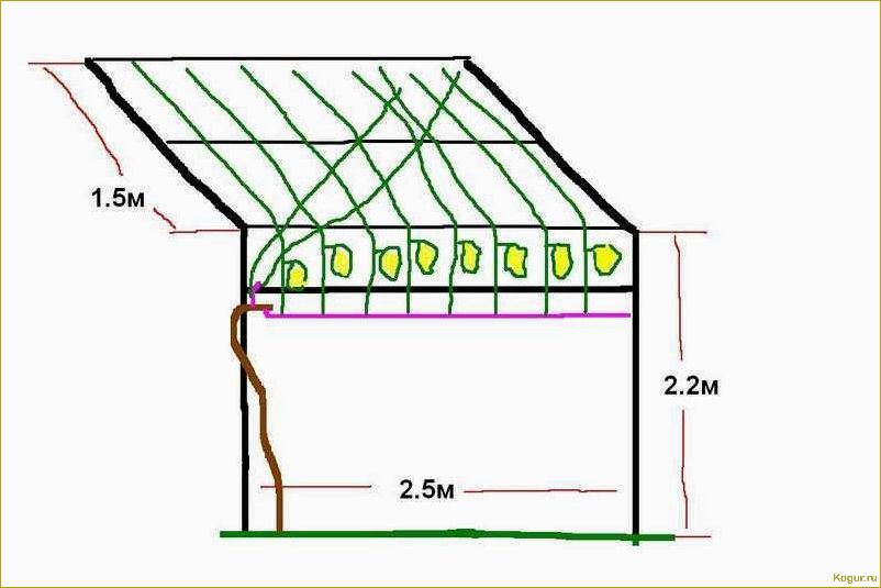 Как сделать шпалеры для винограда своими руками
