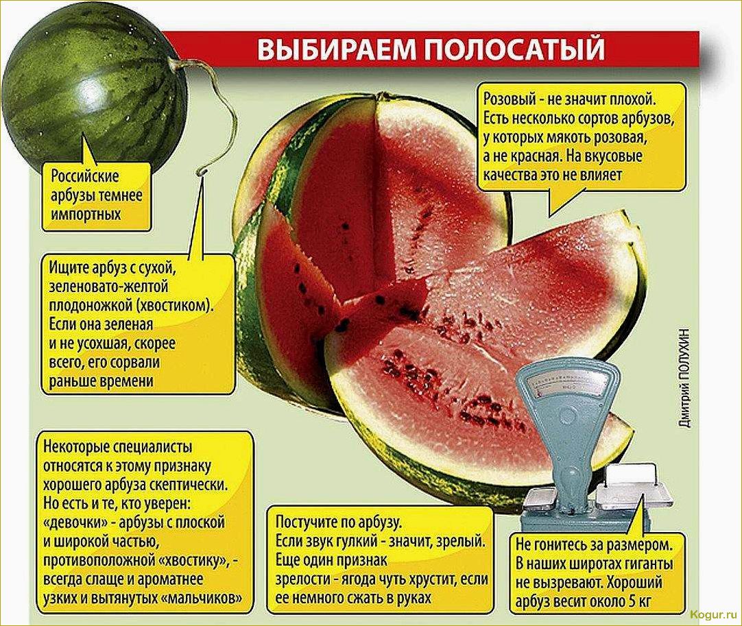 Как определить спелость помело и выбрать самый вкусный и сладкий плод