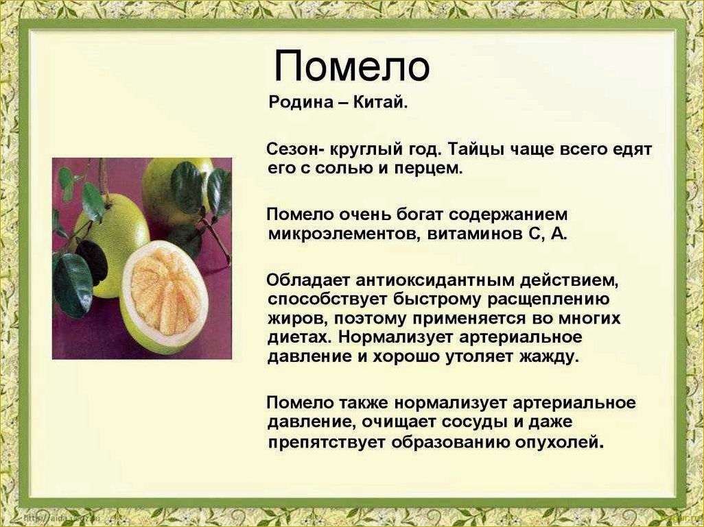 Как определить спелость помело и выбрать самый вкусный и сладкий плод