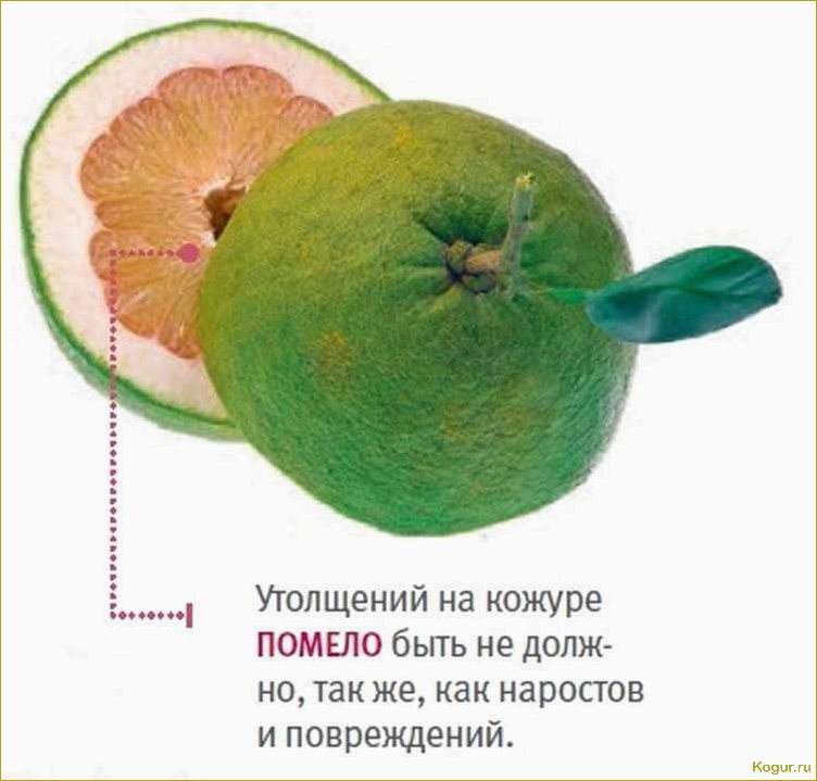 Как определить спелость помело и выбрать самый сладкий и вкусный плод