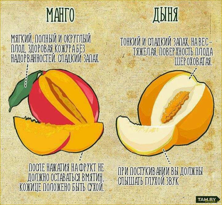 Как определить спелость помело и выбрать самый сладкий и вкусный плод