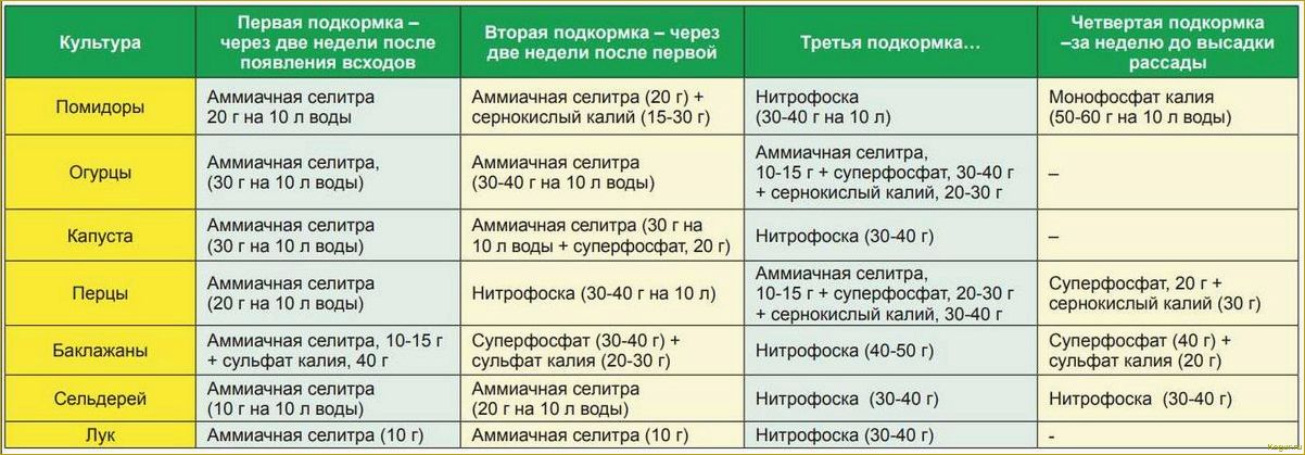 Как правильно удобрять огурцы после посадки в открытый грунт