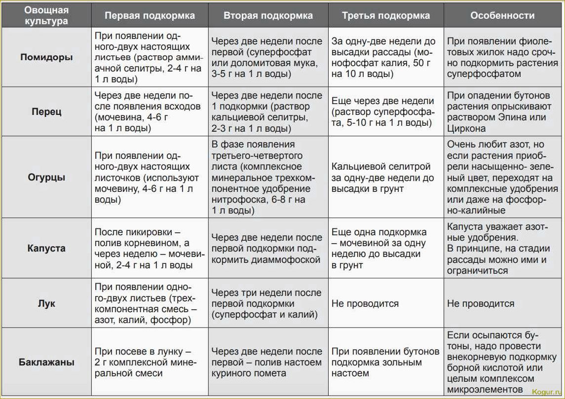 Как правильно удобрять огурцы после посадки в открытый грунт