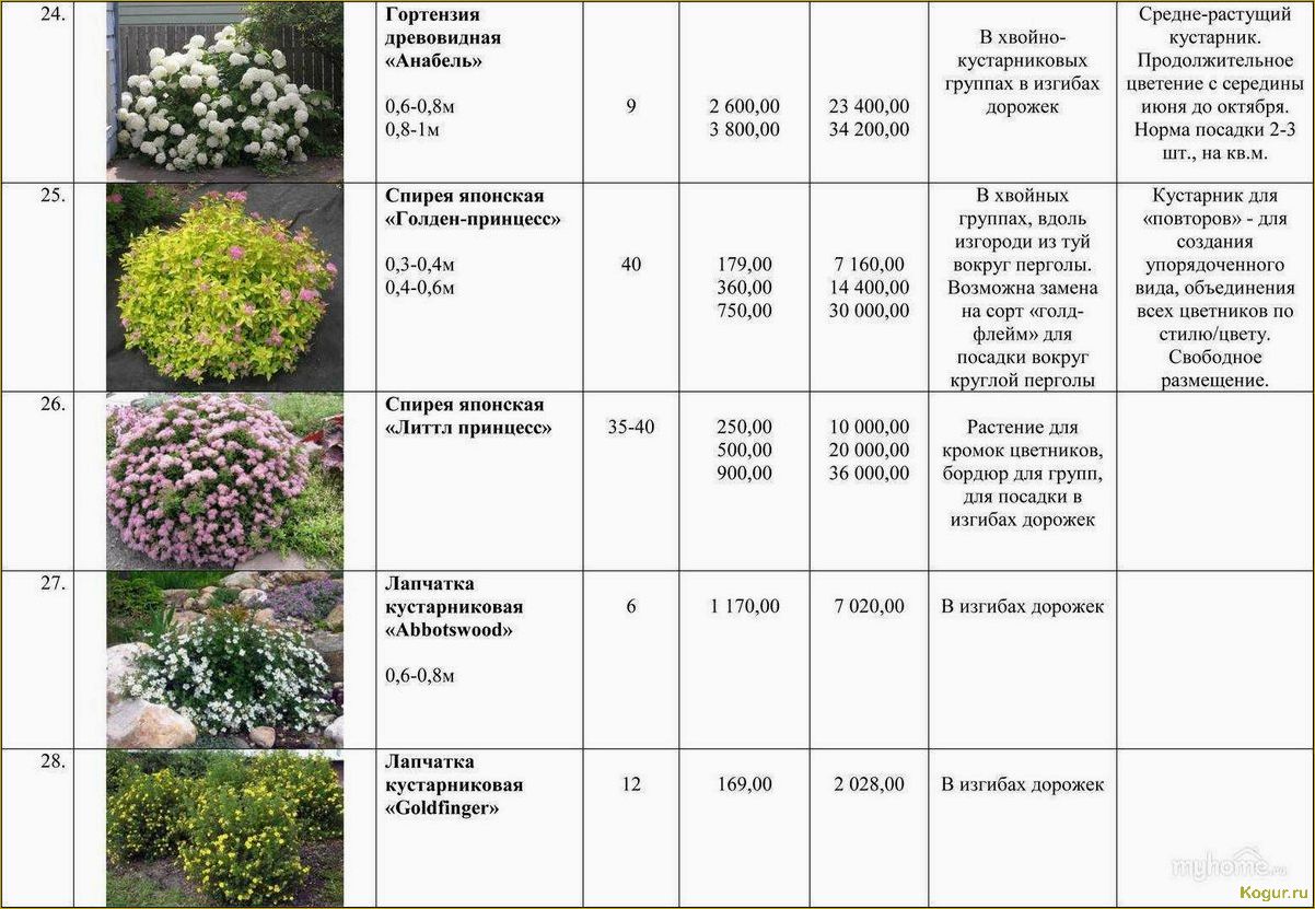 Дейция — посадка и уход, виды и сорта для сада и озеленения