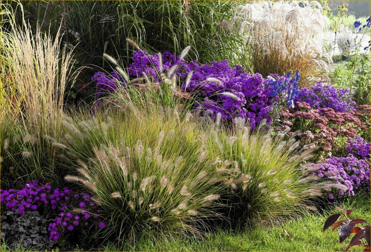 Изысканные растения для оформления сада и газона: список названий декоративных трав