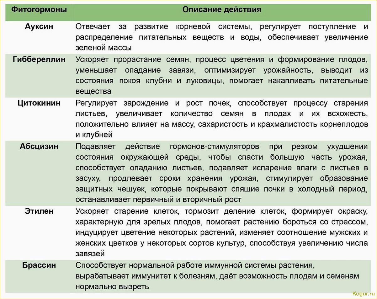 Регулятор роста растений Коренастый: принципы работы и применение