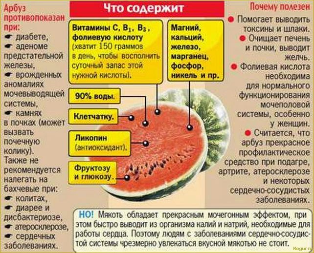 Польза и вред от употребления арбуза