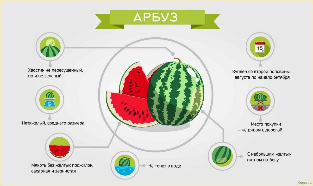 Польза и вред от употребления арбуза