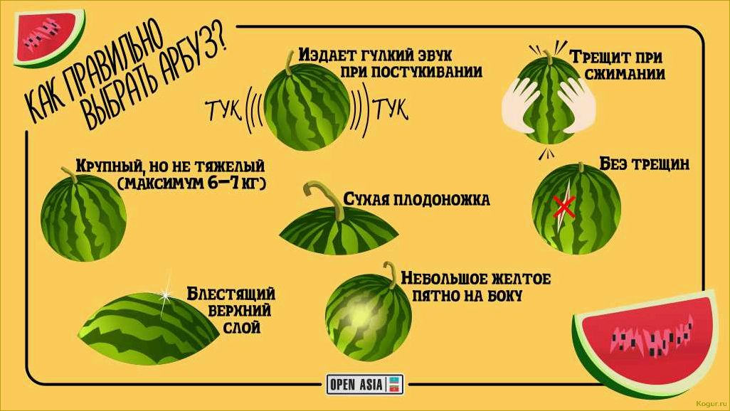 Польза и вред от употребления арбуза