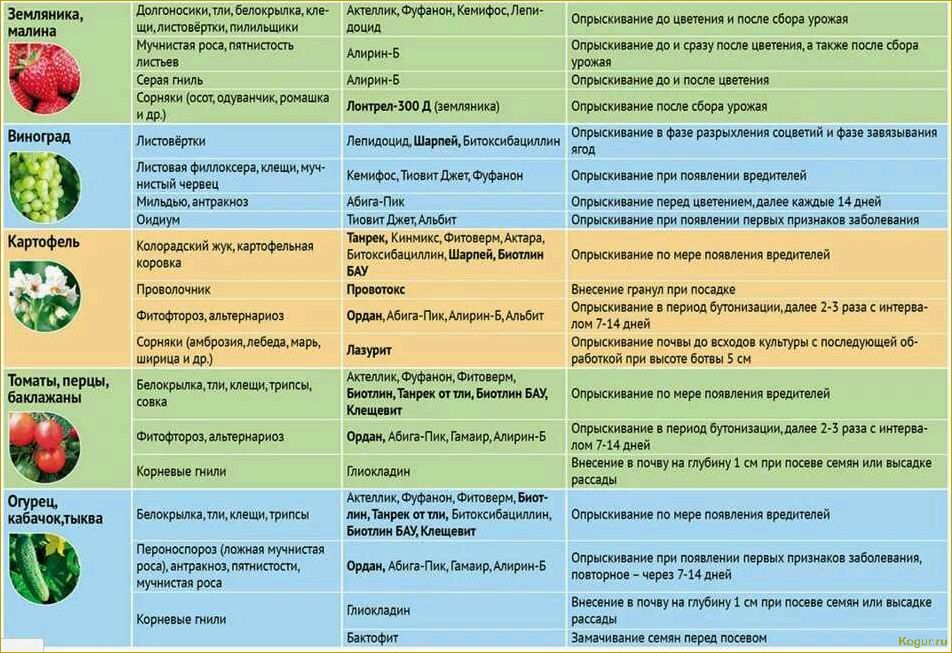 ДНОК — эффективный препарат для опрыскивания садово-огородных культур