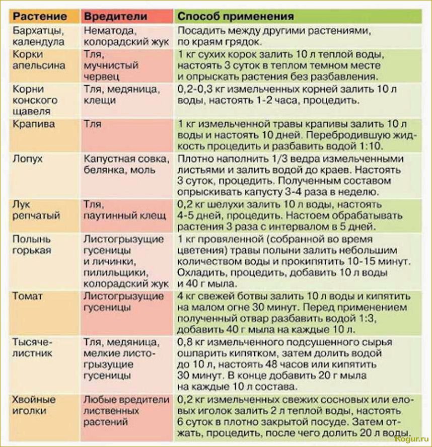 ДНОК — эффективный препарат для опрыскивания садово-огородных культур