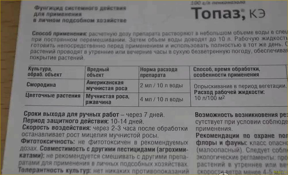 Инструкция по применению фунгицида Топаз для борьбы с грибковыми инфекциями на различных культурах